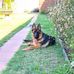 Eric Sylvester - Facebook
