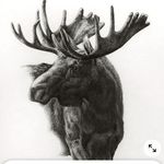 Eric Talbot - @eric.talbot.982 - Instagram