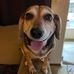 Eric Tapp - Facebook
