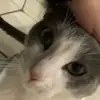 eric_tennyson_ - @eric_tennyson_ - TikTok