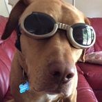 Eric Terwilliger - Facebook