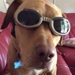 Eric Terwilliger - @ricktwig - Instagram
