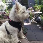 Eric Jolanda Teunissen - @eric.teunissen.98 - Instagram