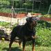 Eric Thatcher - Facebook