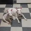 eric.theoret101 - @eric.theoret101 - TikTok