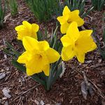 Eric Thiessen - @erict0523 - Instagram
