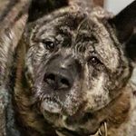 Eric Thomson - @franklynthomson - Instagram