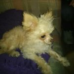 Eric tillery - @tillery.eric - Instagram