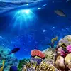 Eric Tin - @eric.tin - TikTok