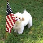 Eric Todd - @erictoddhillqq1937 - Instagram