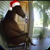 Eric._Toliver620 - @eric._toliver620 - TikTok