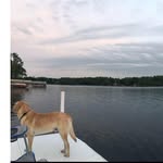 Eric Tracey - @eatracey - Instagram