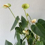 Eric Treuheit - @erictreuheit - Instagram