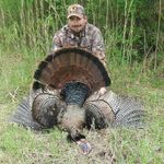 Eric Tripp - @eric.tripp.58 - Instagram