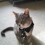 Eric Trottier - @that_was_delicious - Instagram