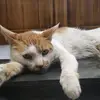erictudor7 - @erictudor7 - TikTok