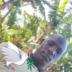 Eric Datwin - Facebook