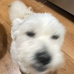 Eric Valente - @eric_valente12 - Instagram