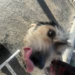Erick Valladares - Facebook