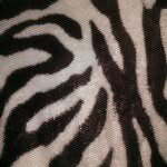 ericmoreno - @eric_valladares - Instagram
