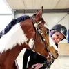 erica_van_aken - @ericavanaken - TikTok