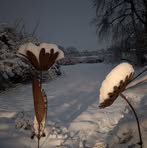 Eric Vandenberghe - Facebook