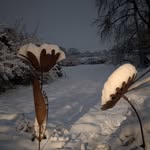 Eric Vandenberghe - @evandenberghe8 - Instagram