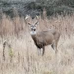 Eric VanValkenburg - @evan92959801 - Instagram