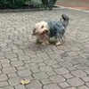 erick vassallo - @erick.vassallo - TikTok