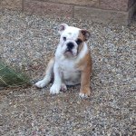 Eric Vaughan - @vaughan.eric - Instagram