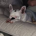 Eric Vaughan - @eric.vaughan.77 - Instagram