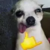 Eric Vecchio - @ericvecc - TikTok