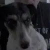 Erik Verhaeghe - @erikverhaeghe - TikTok