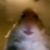 Erick Vicêncio - @erickvicencioo - TikTok