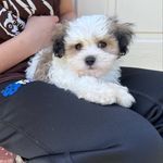 Eric Vicente - @eric.vicente.79_ - Instagram
