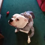 Eric Vickers - @eric.vickers.946 - Instagram