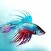 Eric Wadsworth - Facebook