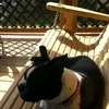 Eric Postlewait - @eric.postlewait - TikTok