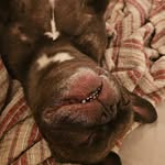 Eric Buffalo Walden - @jewfrosdew - Instagram