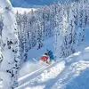 Eric Wallin - @wallineric - TikTok