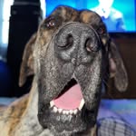 Eric Walling - @ericwalling125 - Instagram