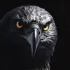 Eric Wang - @eric.wang37 - TikTok