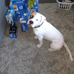 Eric Warner - @eric.warner.9003888 - Instagram