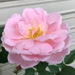 Eric Warren - @eric_warren2982 - Instagram
