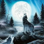 Eric Webley - Facebook