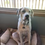 Eric Webster - @ewebster49546 - Instagram