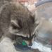 Eric Weidman - Facebook