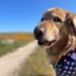 Eric Weissman - @eric_r_w - Instagram
