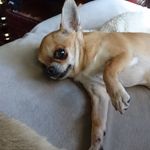 Eric Welin - @eric.lewelin - Instagram