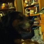 Eric Weller - @doggy7080 - Instagram